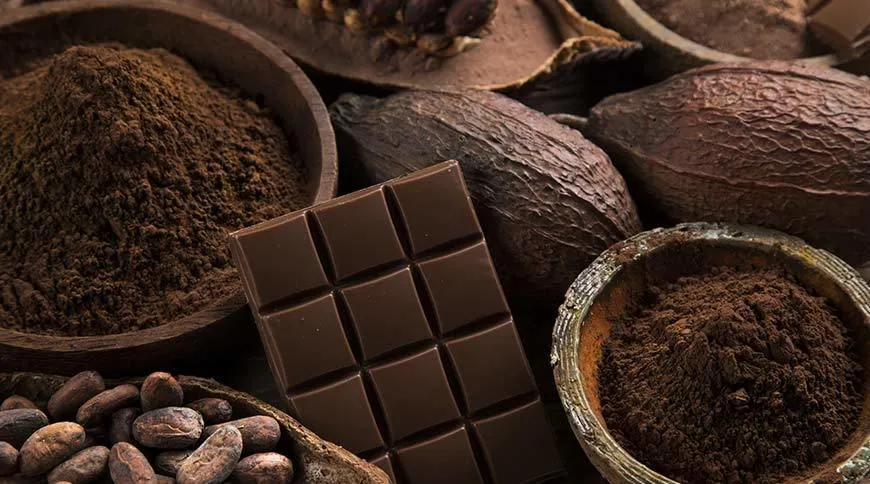 Image4 11Zon 24 A Chocolate Bar And Cocoa Powder In Bowls