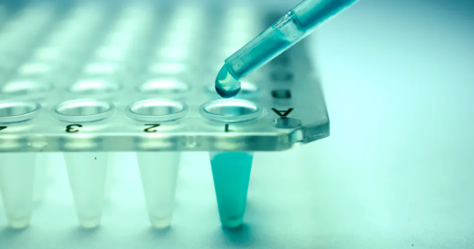 Could Stem Cell Therapy Finally Cure Type 1 Diabetes